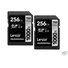 Lexar 256GB Professional 1000x UHS-II SDXC Memory Card (2-Pack, Class 10, UHS Speed Class 3)