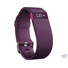 Fitbit Charge HR Activity, Heart Rate + Sleep Wristband (Large, Plum)