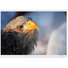 Nikon 500mm f4G ED-VR II Lens