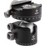 Really Right Stuff BH-40 Ball Head with Lever-Release Panning Clamp