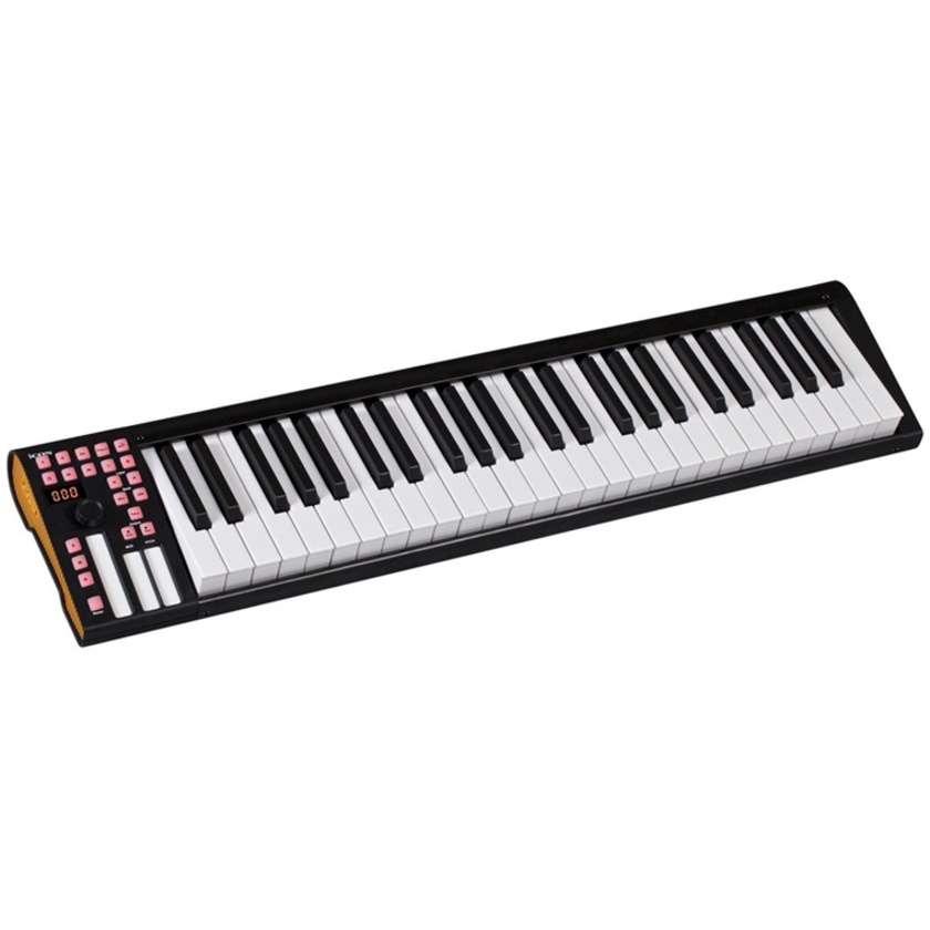 Icon Pro Audio iKeyboard 5 49-Key MIDI Controller