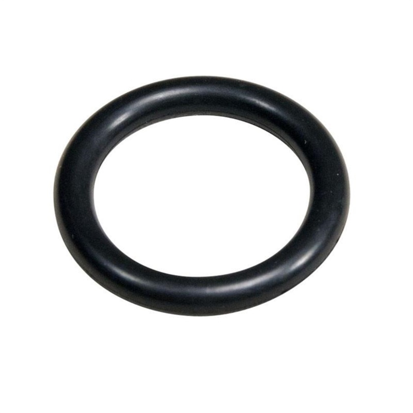 Sanken ROCS Rubber O-Rings for CS-1 (10)