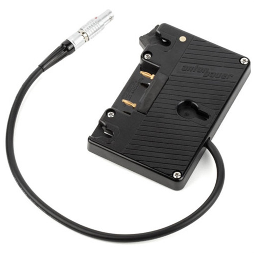 Wooden Camera Gold Mount Plate for Canon C200/C200B/C300 MkII