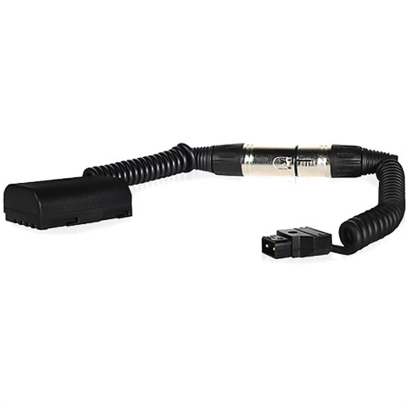 Core SWX P-Tap Cable for Panasonic GH4 with XLR