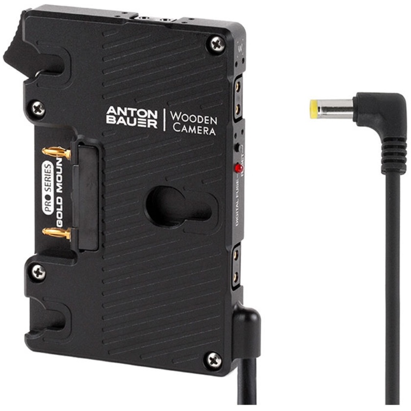 Wooden Camera Pro Gold Mount for Canon C100, C100mkII, C300, C500