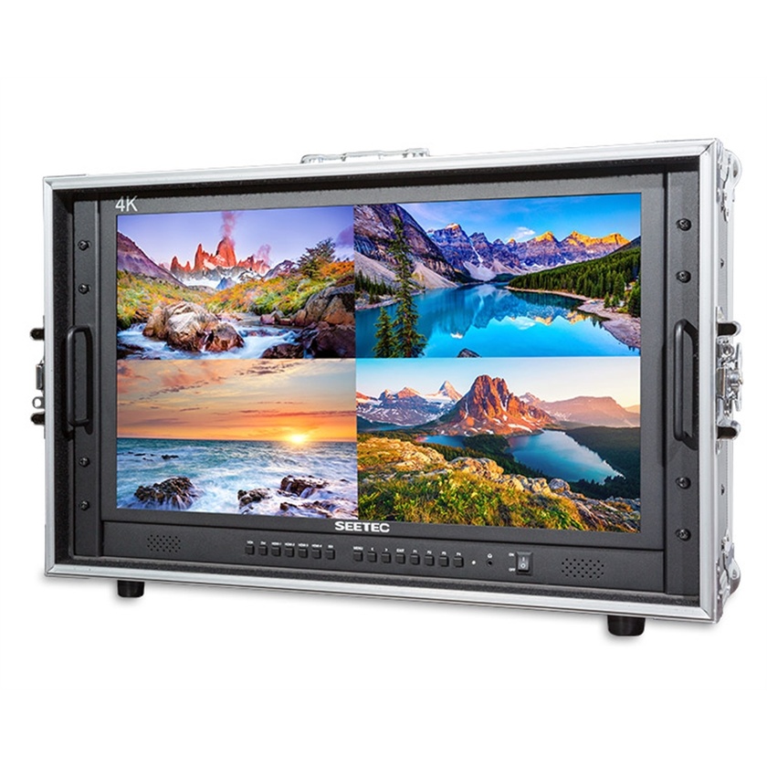 Seetec 23.8" 4K(3840x2160) Ultra-HD Resolution Carry-on Broadcast Director Monitor for CCTV Monitor