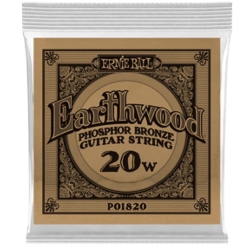 Ernie Ball .020 Earthwood Phosphor Bronze Acoustic Guitar String