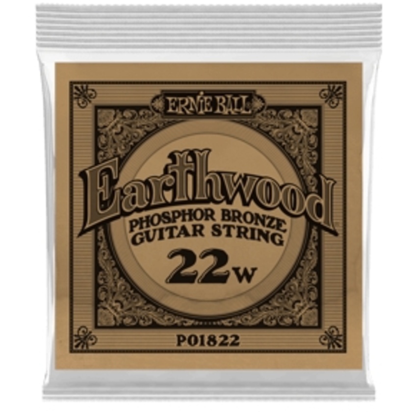 Ernie Ball .022 Earthwood Phosphor Bronze Acoustic Guitar String
