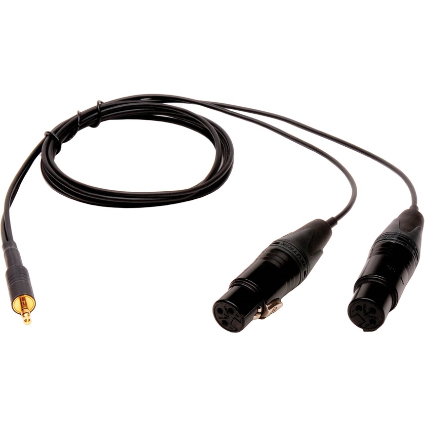 Microphone Madness Dual XLR Female to 1/8" (3.5mm) Stereo Male Mini-Plug Adapter Cable