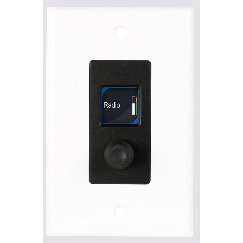 Allen & Heath IP1 dLive Remote Controller (Black)