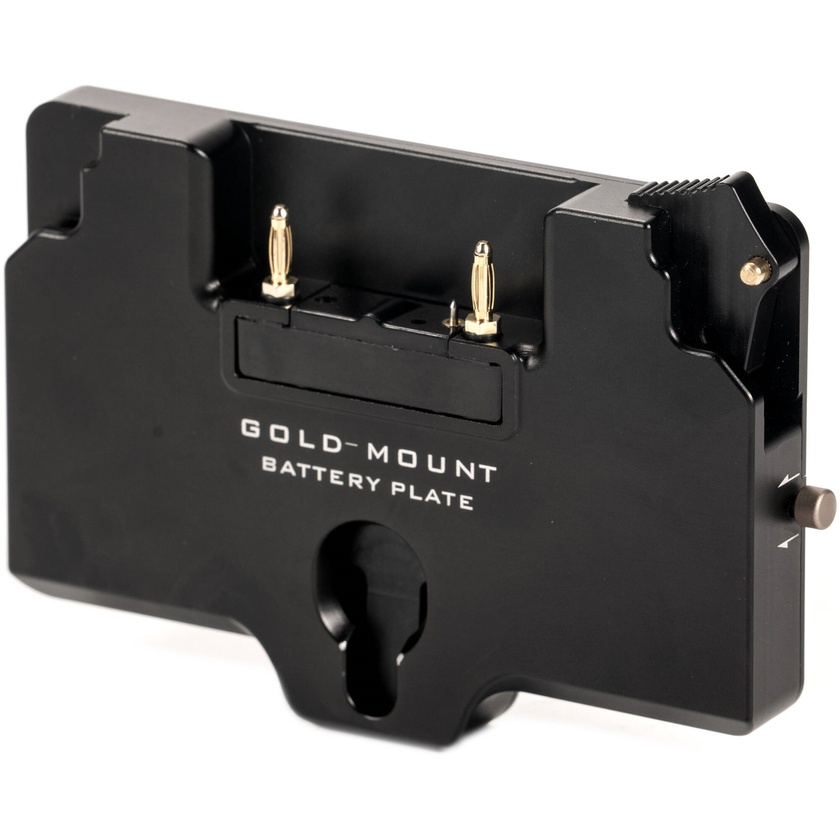 Tilta Battery Plate for RS 2 Power Pass-Through Plate Kit (Gold Mount)