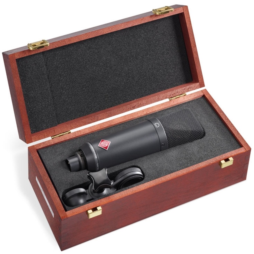 Neumann TLM 193 Large-Diaphragm Cardioid Studio Condenser Microphone + Stand Mount (Black)