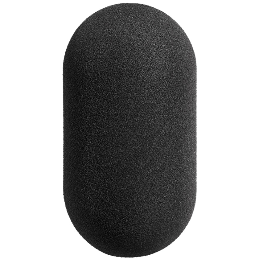 Neumann WS 69 Windscreen