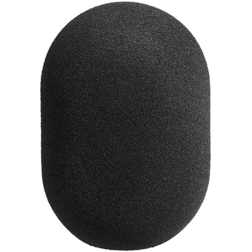 Neumann WS 89 Windscreen