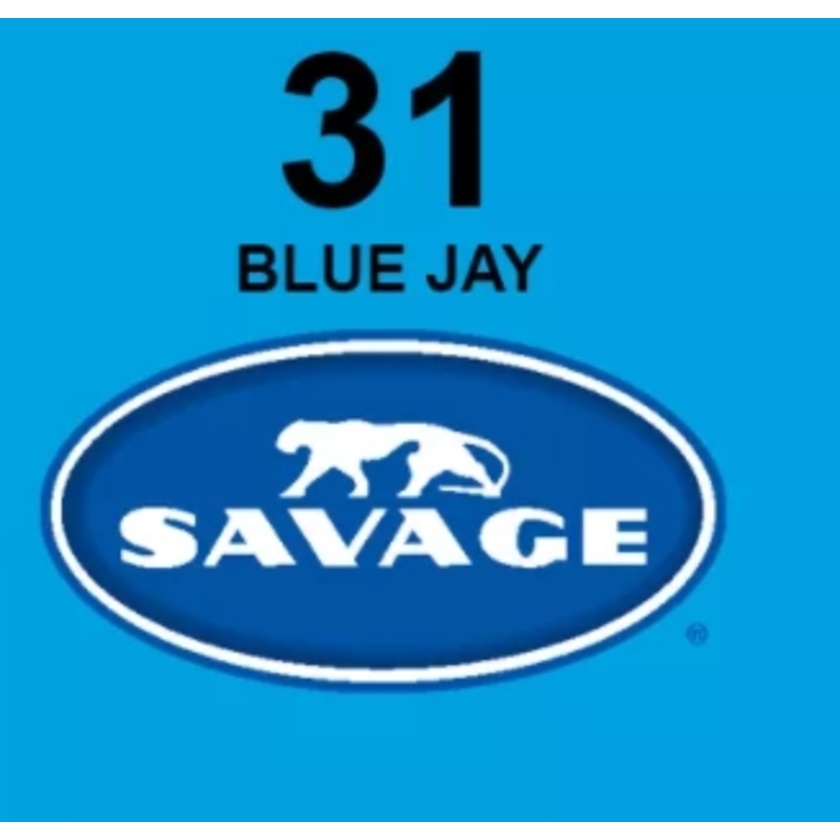 Savage Widetone Seamless Paper Background 1.35m x 11m (Blue Jay)