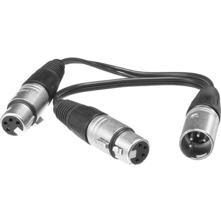 Bescor 4-Pin XLR Male to 2 4-Pin XLR Female Y-Cable - 6"