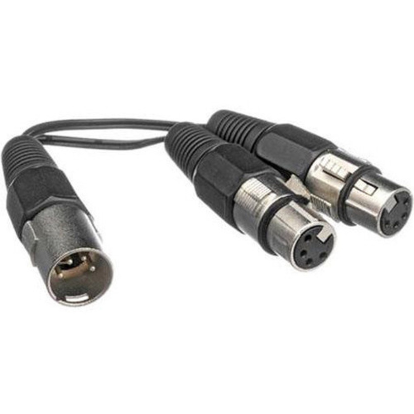 Bescor 4-Pin XLR Male to Dual 4-Pin XLR Female Cable with All Pins Wired (6")