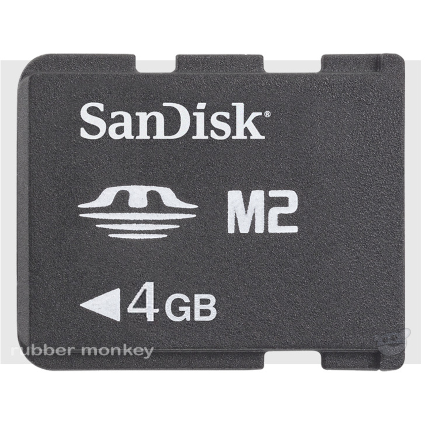 SanDisk 4GB MS Micro M2