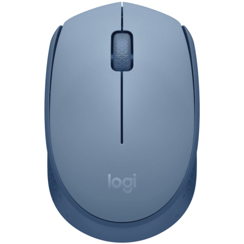 Logitech M171 USB Wireless Mouse (Blue Grey)