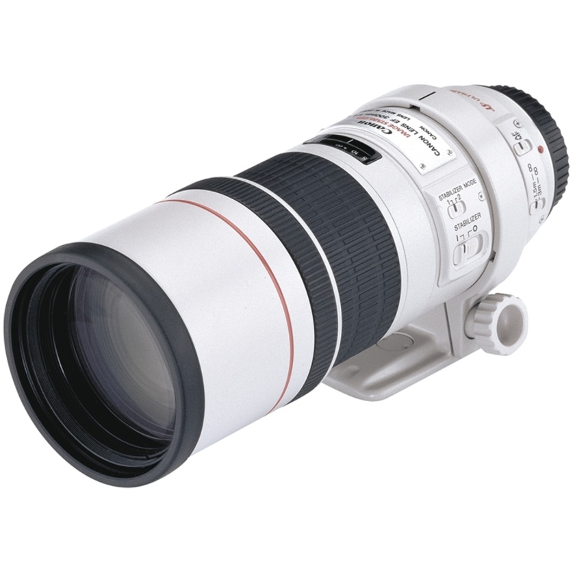 Canon EF 300mm f4 L IS USM Lens