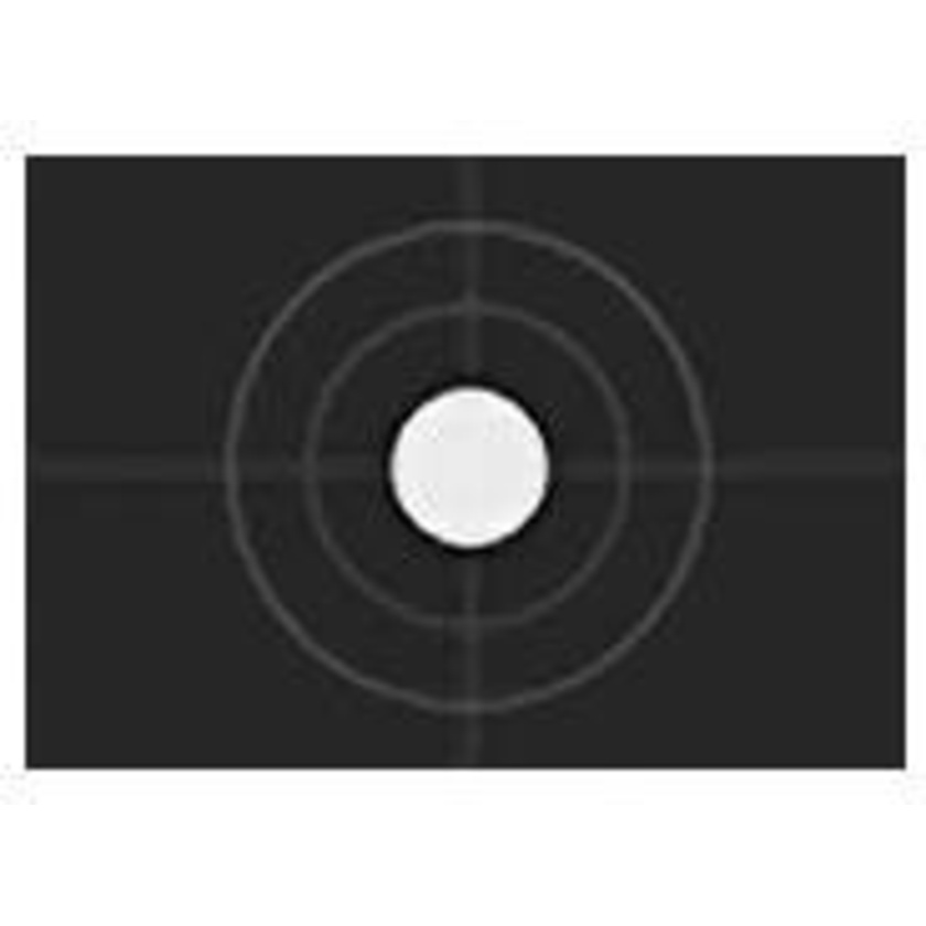 Rosco E-Colour+ 258 1/8 Hanover Frost (21 x 24") Sheet