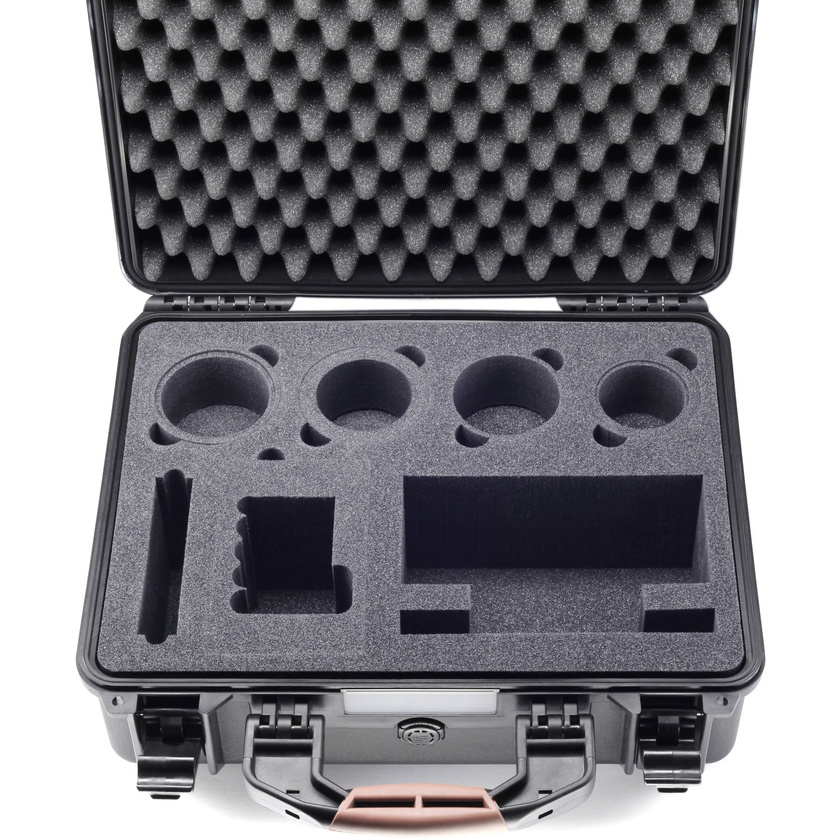 HPRC 2460 Hard Case for Panasonic Lumix GH5 (Black, Foam)
