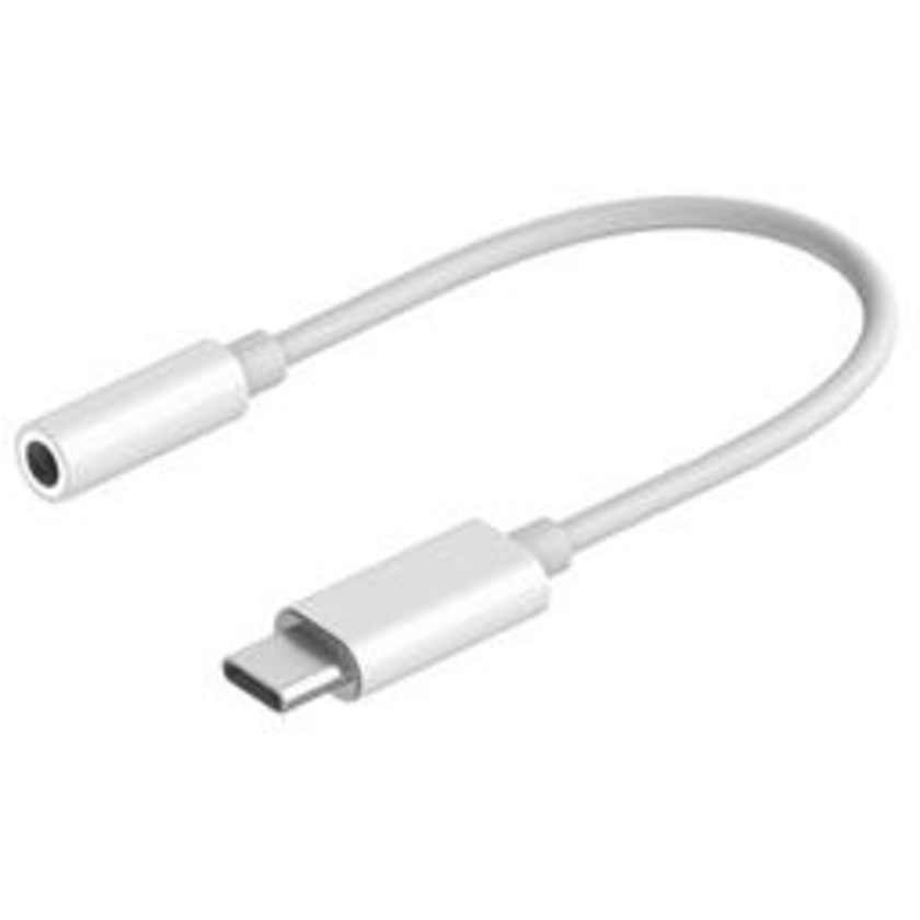 Hollyland USB-C to 3.5mm Headphone Jack Adapter