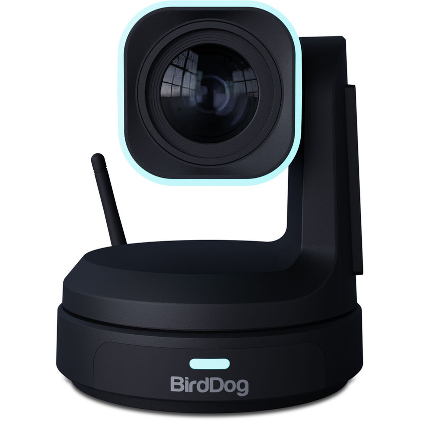 BirdDog X1 PTZ Camera with 30x Optical Zoom (Black)