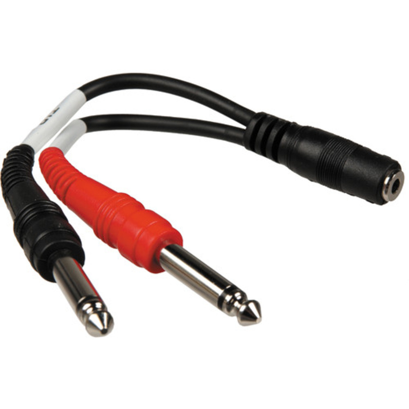 Hosa YMP-434 Stereo Mini (3.5mm) Female to 2x 1/4" Mono Male Y-Cable - 6"