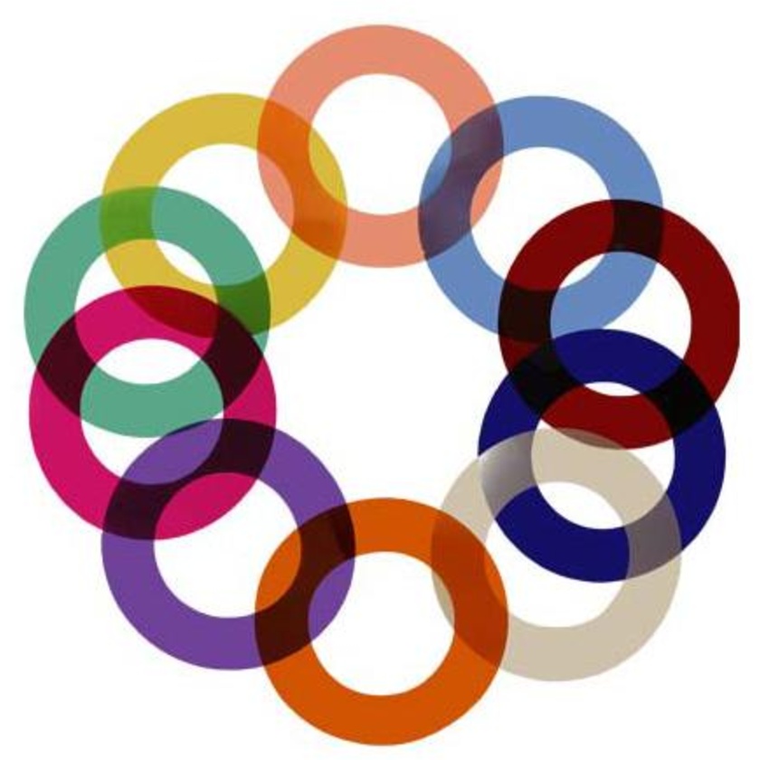 Rotolight Add-On Colour Filter Pack