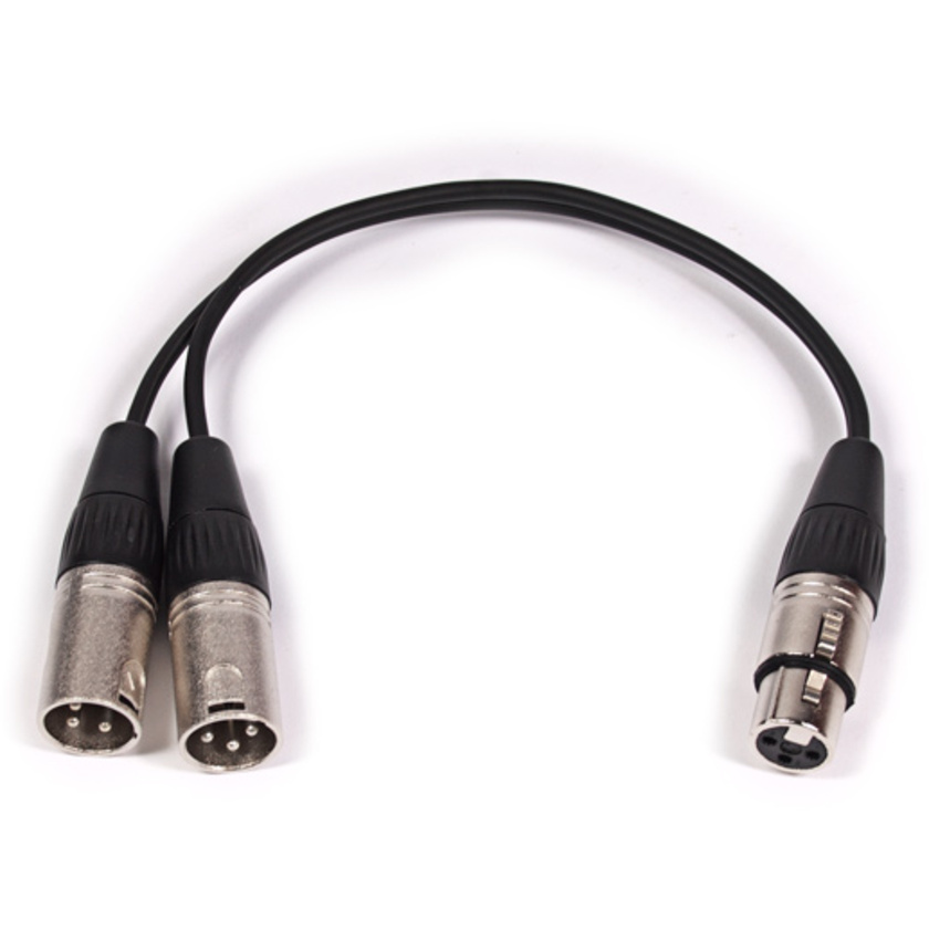 Titan Cables XLR-122 Female XLR to 2 x Male XLR Splitter Cable