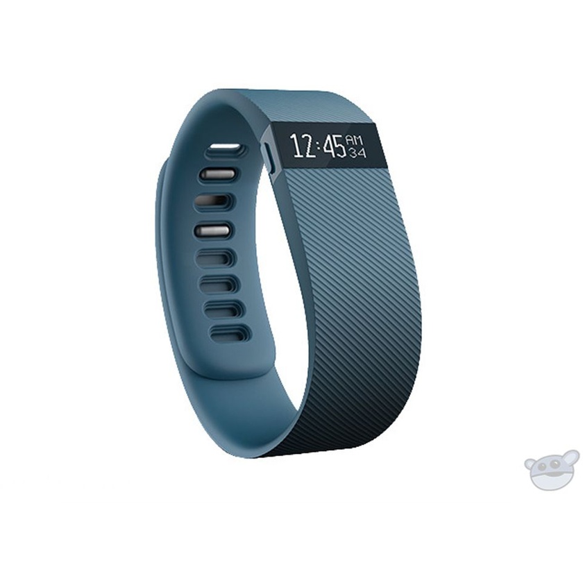 Fitbit Charge Activity + Sleep Wristband (Large, Slate)