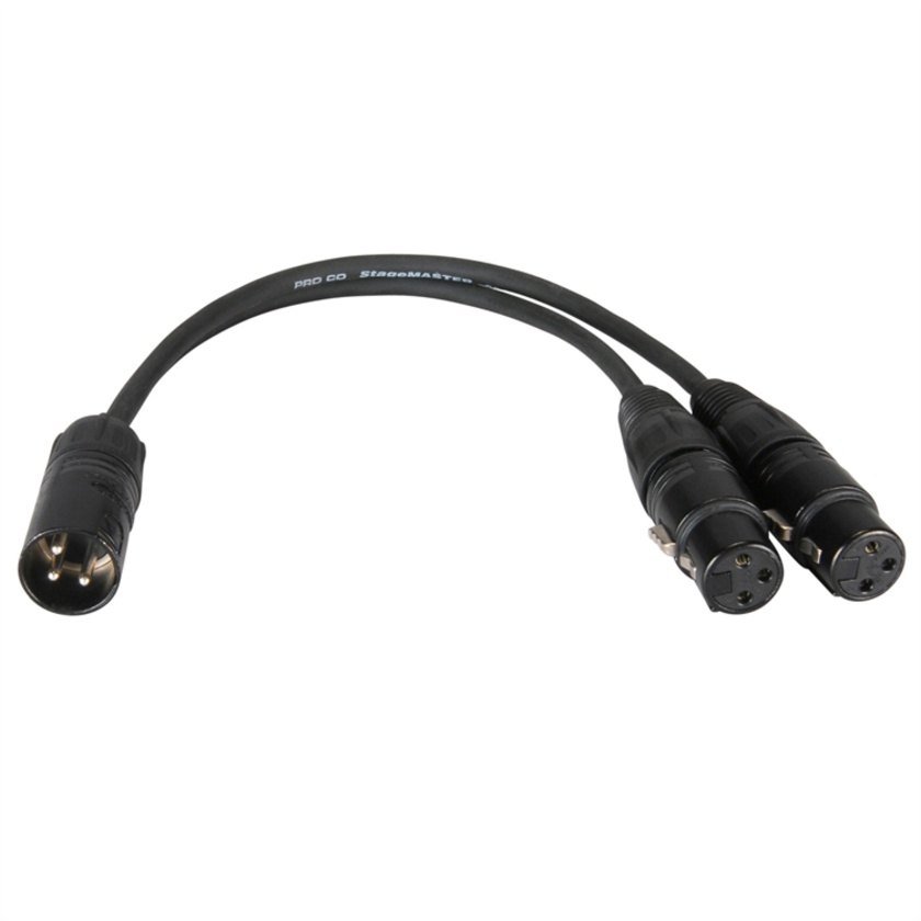 Pro Co Sound 3-Pin XLR Male to 2 3-Pin XLR Female Y-Cable - 1'