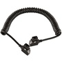 SHAPE D-TAP20 12 VDC D-Tap Male to D-Tap Male Coiled Cable (20'')
