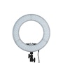 Mettle RL12 180 LED Studio Ringlight - 5500K
