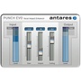 Antares Audio Technologies PUNCH Evo - Vocal Impact Enhancer (Download)