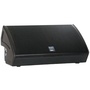 dB Technologies DVX DM12 TH Two-Way Active Stage Monitor