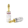 DYNAMIX Banana Plugs Gold Plated with Alloy Jacket (Red & Black, Pair)