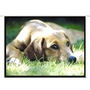 Brateck PRS100E 100" Projector Screen with Remote Control