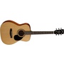 Cort AF510 Acoustic Guitar