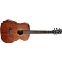 Cort AF510M Acoustic Guitar (Mahogany)