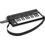 Behringer MS-101 Analog Synthesizer with Live Performance Kit (Black)