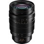 Panasonic Leica DG Vario-Summilux 10-25mm f/1.7 ASPH. Lens