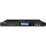 Tascam SS-R250N Memory Recorder with Networking and Optional Dante Support
