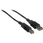 Pearstone USB 2.0 Type A Male to Type B Male Cable - 15' (4.6 m)
