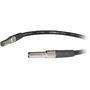 Canare MVPC003F Mid-Size Video Patch Cord (3', Black)