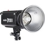 Godox DP300II Flash Head