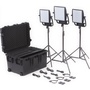 Litepanels Astra 6X Traveler Bi-Colour Trio 3-Light Kit with V-Mount Battery Plates