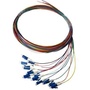 DYNAMIX 2M LC Pigtail OM1 12x Pack Colour Coded