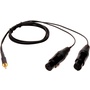 Microphone Madness Dual XLR Female to 1/8" (3.5mm) Stereo Male Mini-Plug Adapter Cable